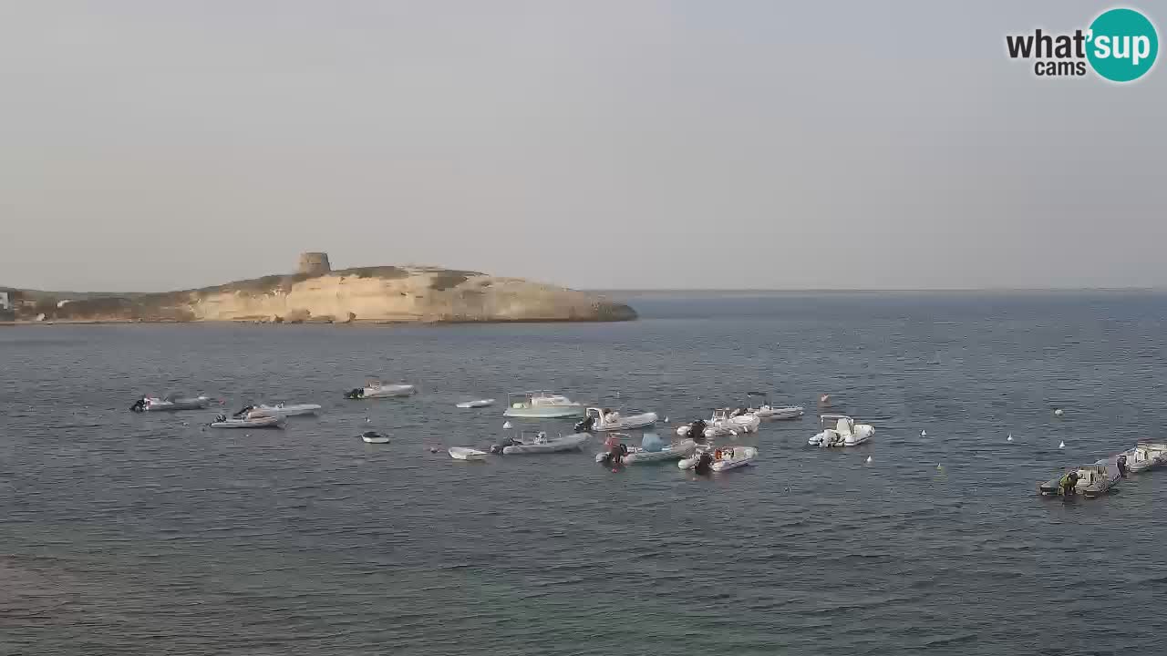 Webcam di Sarchittu: vista in tempo reale delle bellissime spiagge della Sardegna