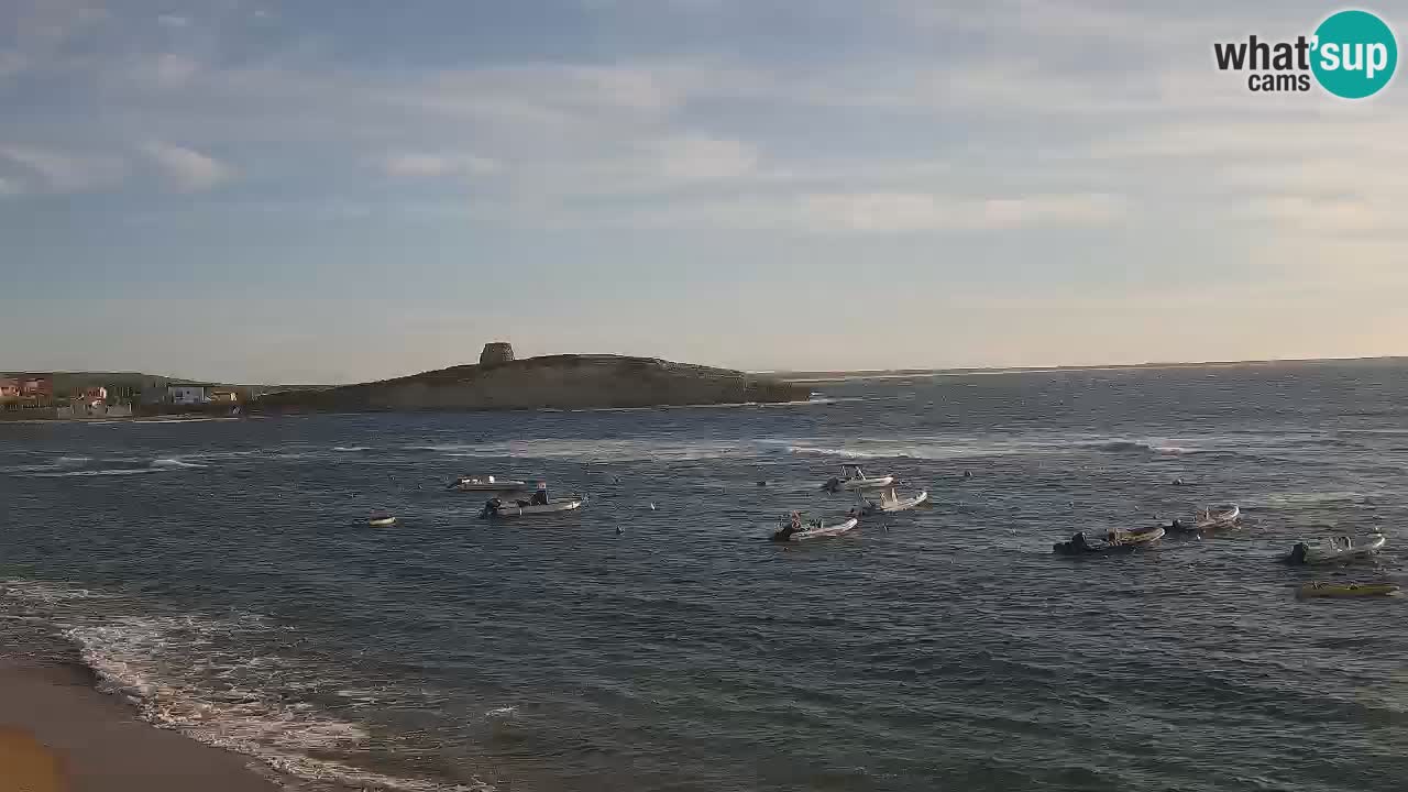 Webcam de Sarchittu : vues en direct des plages magnifiques de Sardaigne, Italie