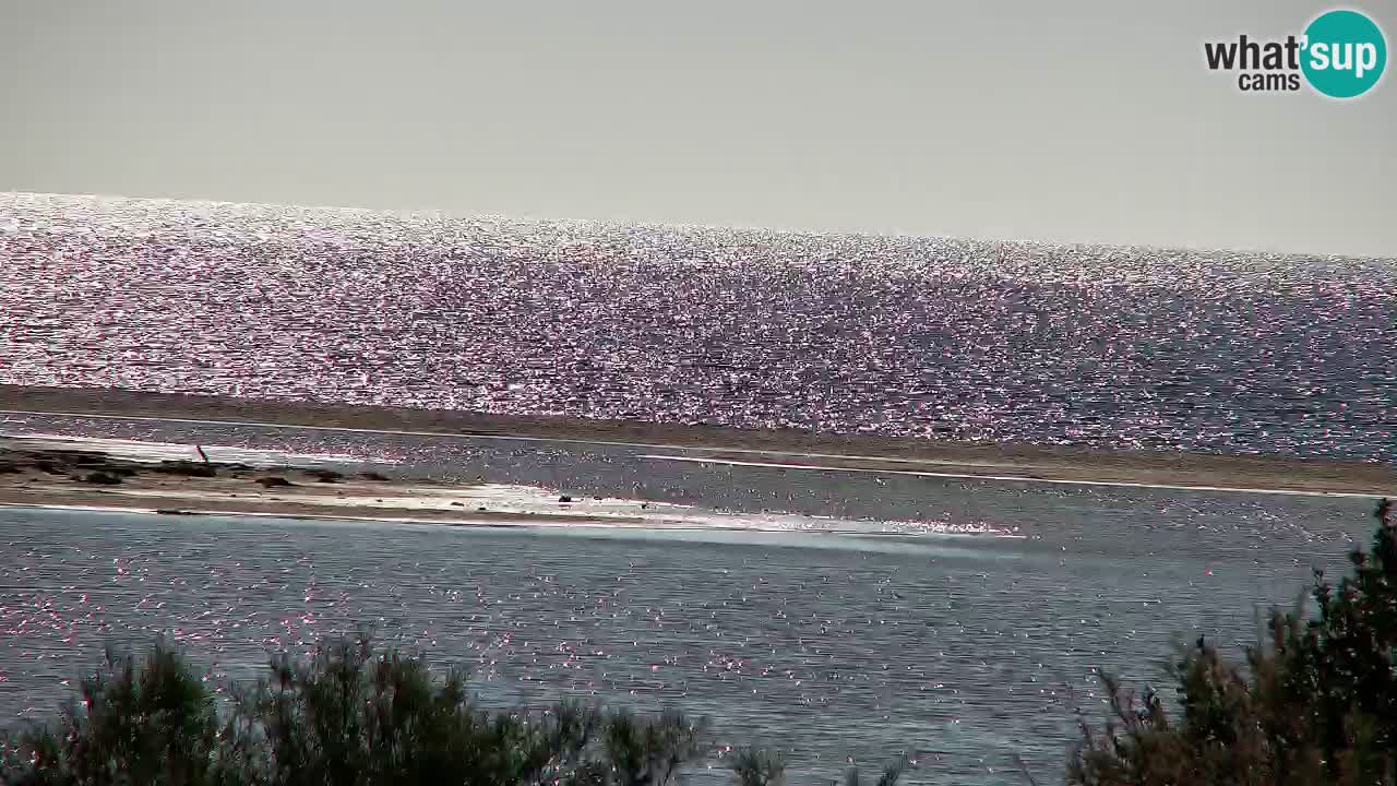 Webcam Chia – Vue en direct de la plage Su Giudeu