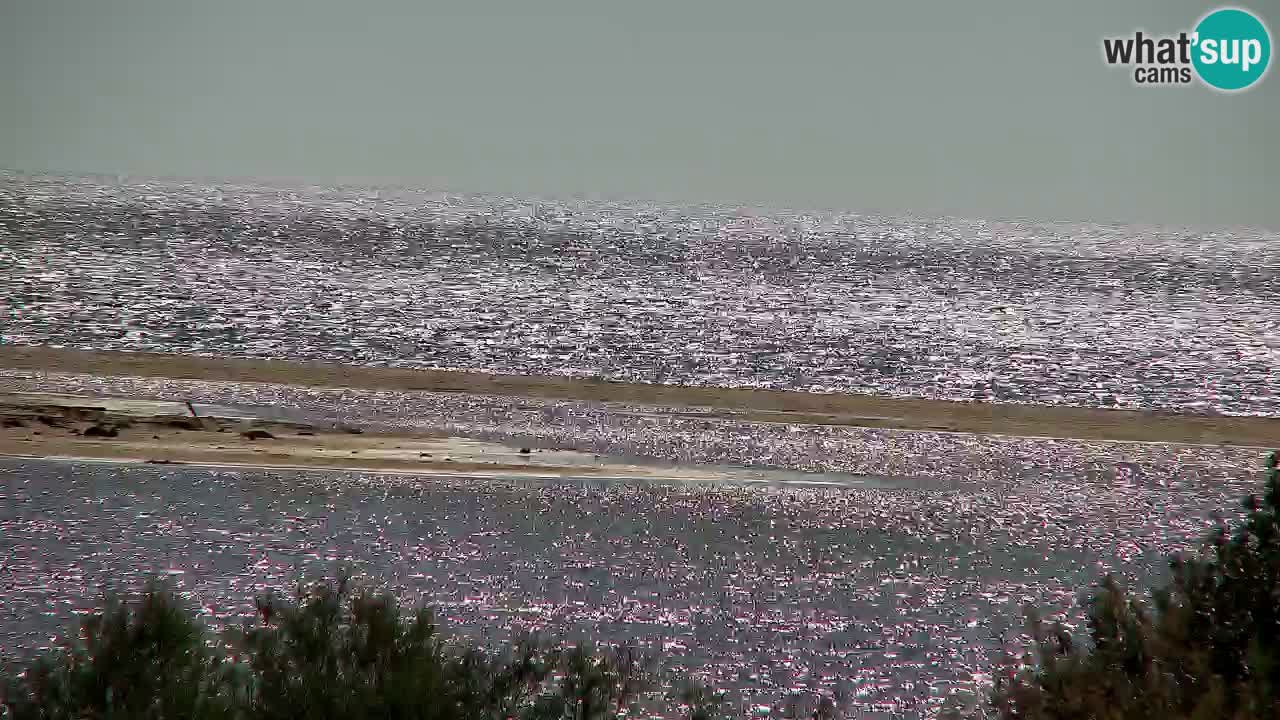 Webcam Chia – Liveblick auf den Strand Su Giudeu