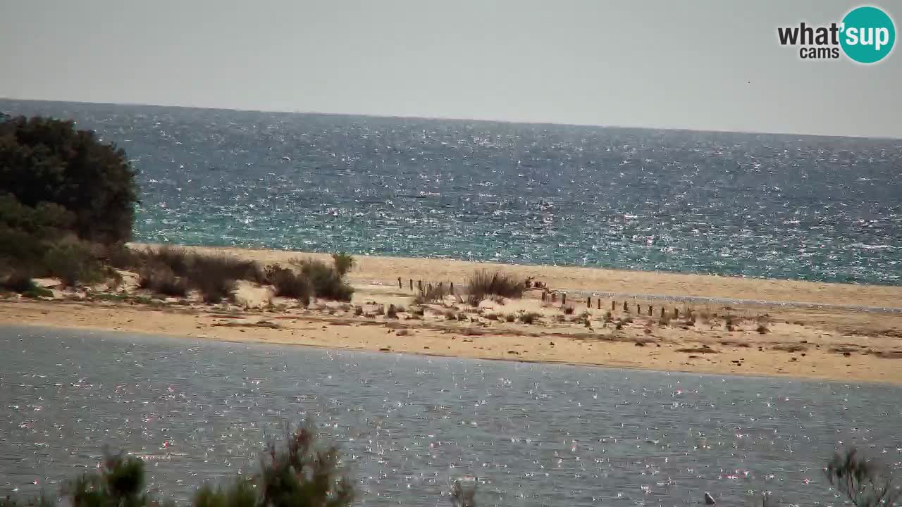 Webcam Chia – Vue en direct de la plage Su Giudeu
