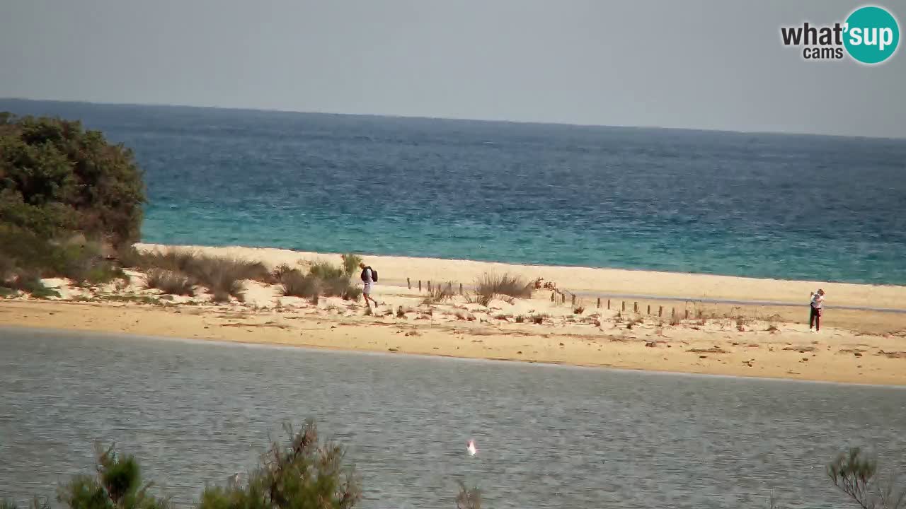 Webcam Chia – Vista en directo de la playa Su Giudeu