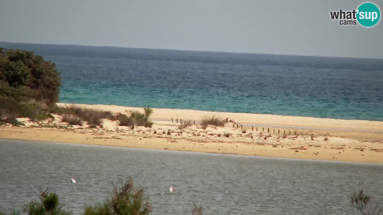 Webcam Chia – Vista en directo de la playa Su Giudeu