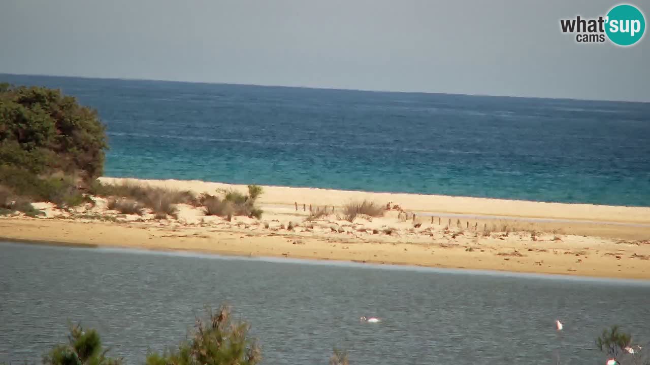 Webcam Chia – Vista en directo de la playa Su Giudeu