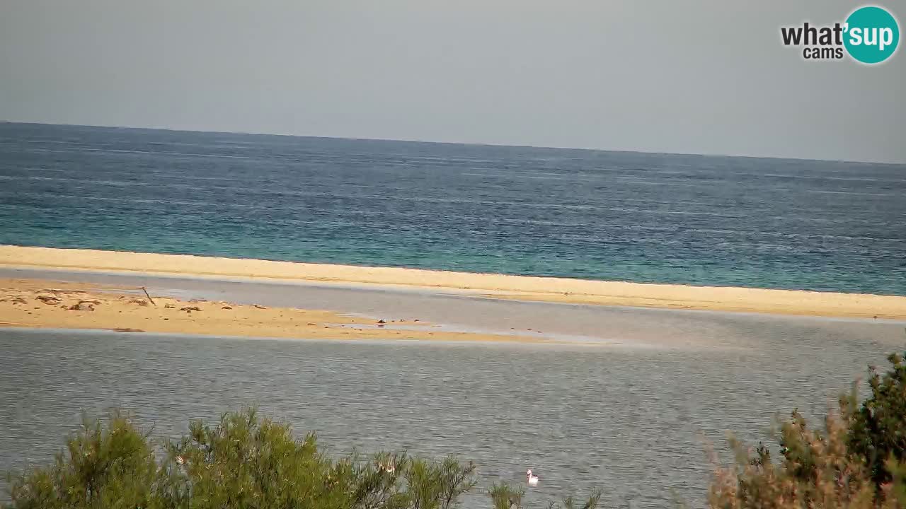 Webcam Chia – Vue en direct de la plage Su Giudeu