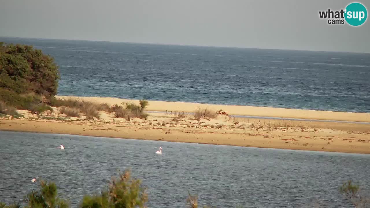 Webcam Chia – Liveblick auf den Strand Su Giudeu