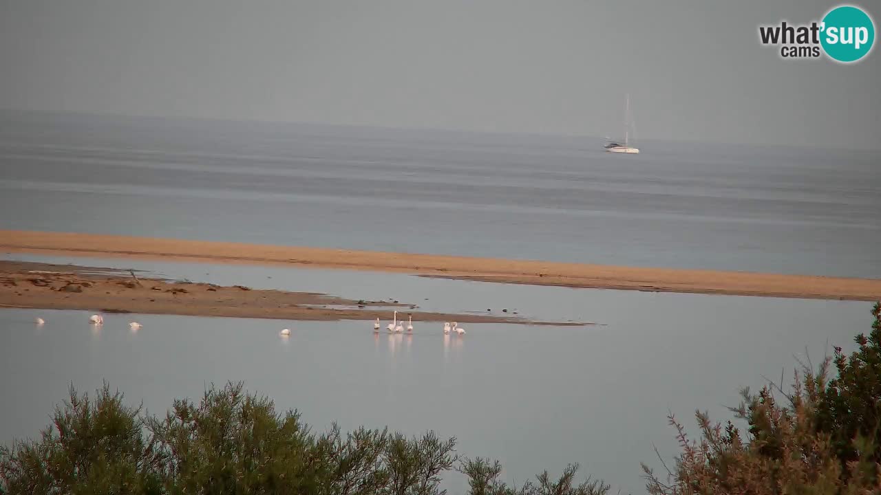 Webcam Chia – Spiaggia Su Giudeu in diretta