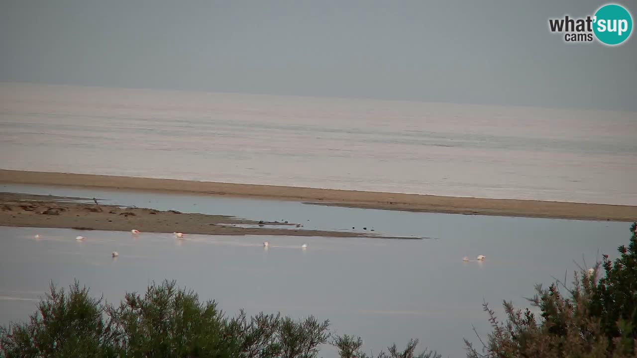 Webcam Chia – Live View of Su Giudeu Beach