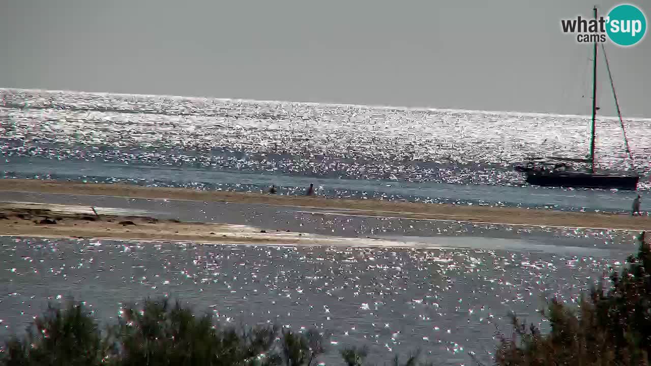 Webcam Chia – Live View of Su Giudeu Beach