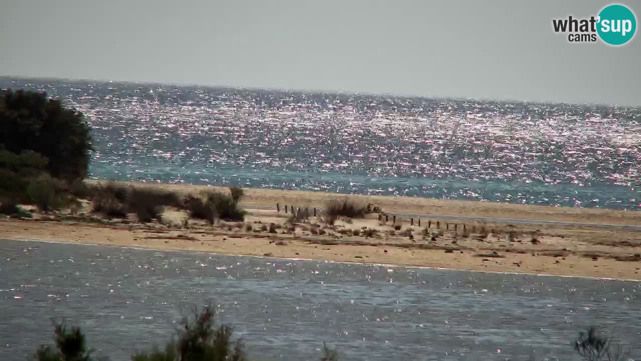 Spletna kamera Chia – Pogled v živo na plažo Su Giudeu