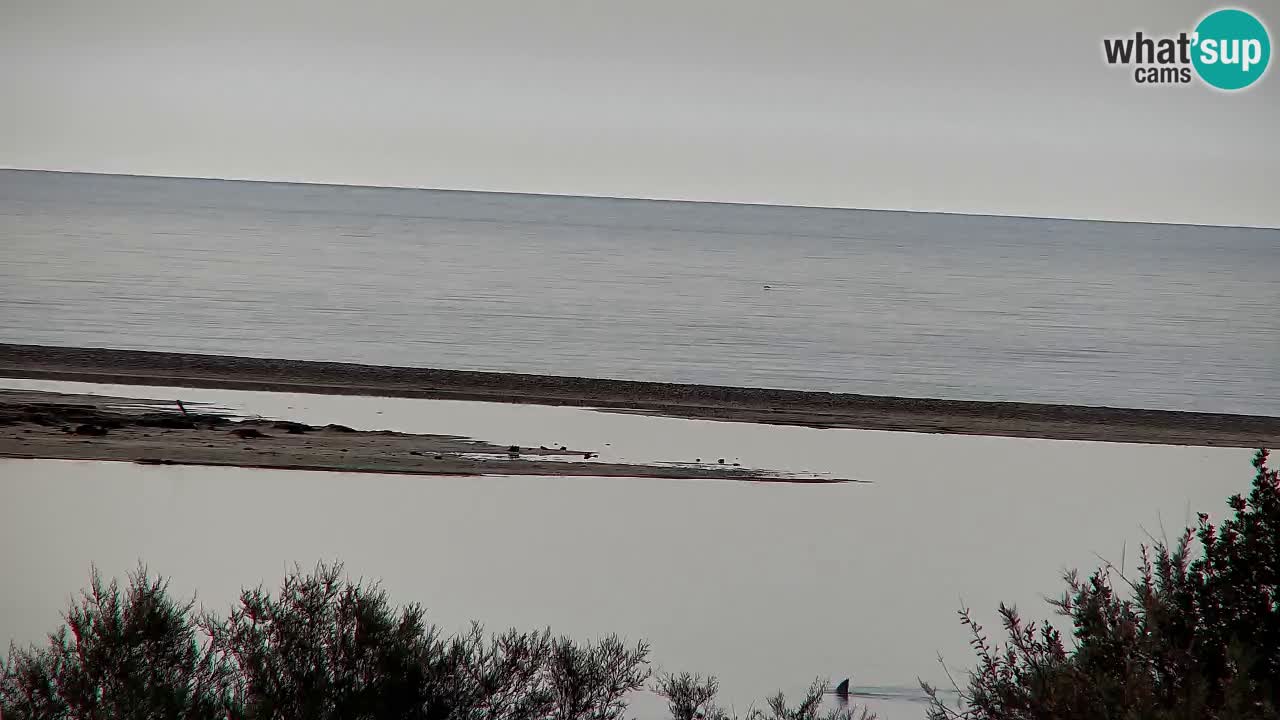 Webcam Chia – Live View of Su Giudeu Beach