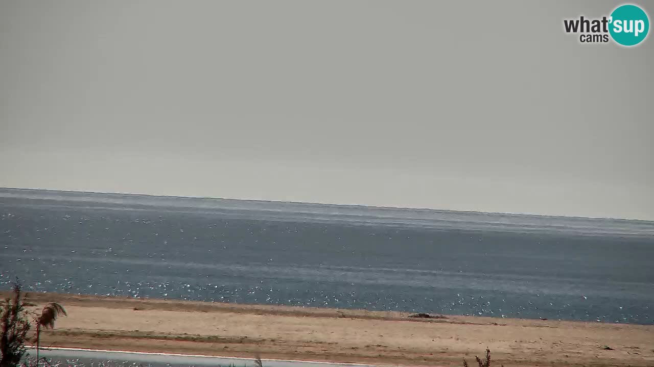 Webcam Chia – Live View of Su Giudeu Beach