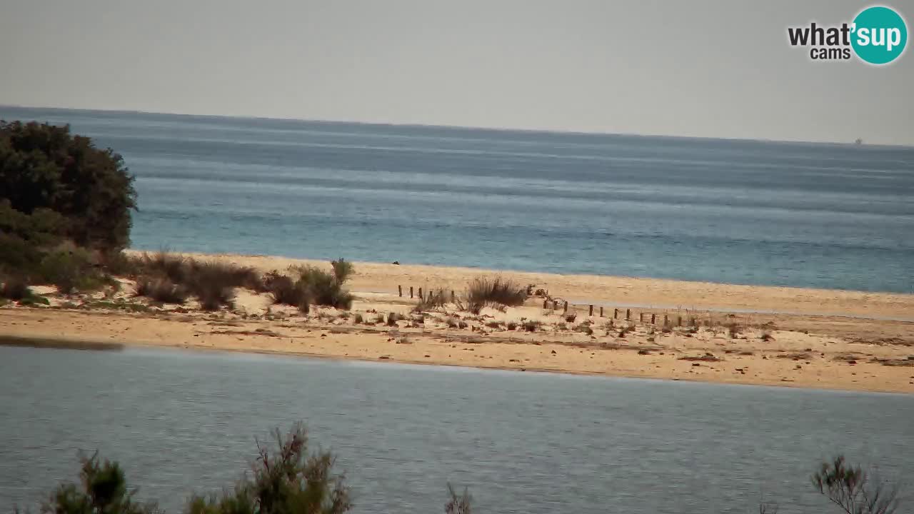 Webcam Chia – Live View of Su Giudeu Beach