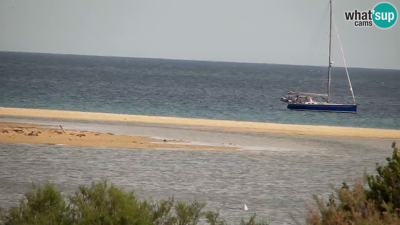 Webcam Chia – Live View of Su Giudeu Beach