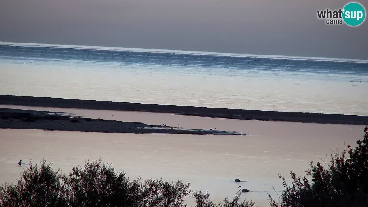 Spletna kamera Chia – Pogled v živo na plažo Su Giudeu
