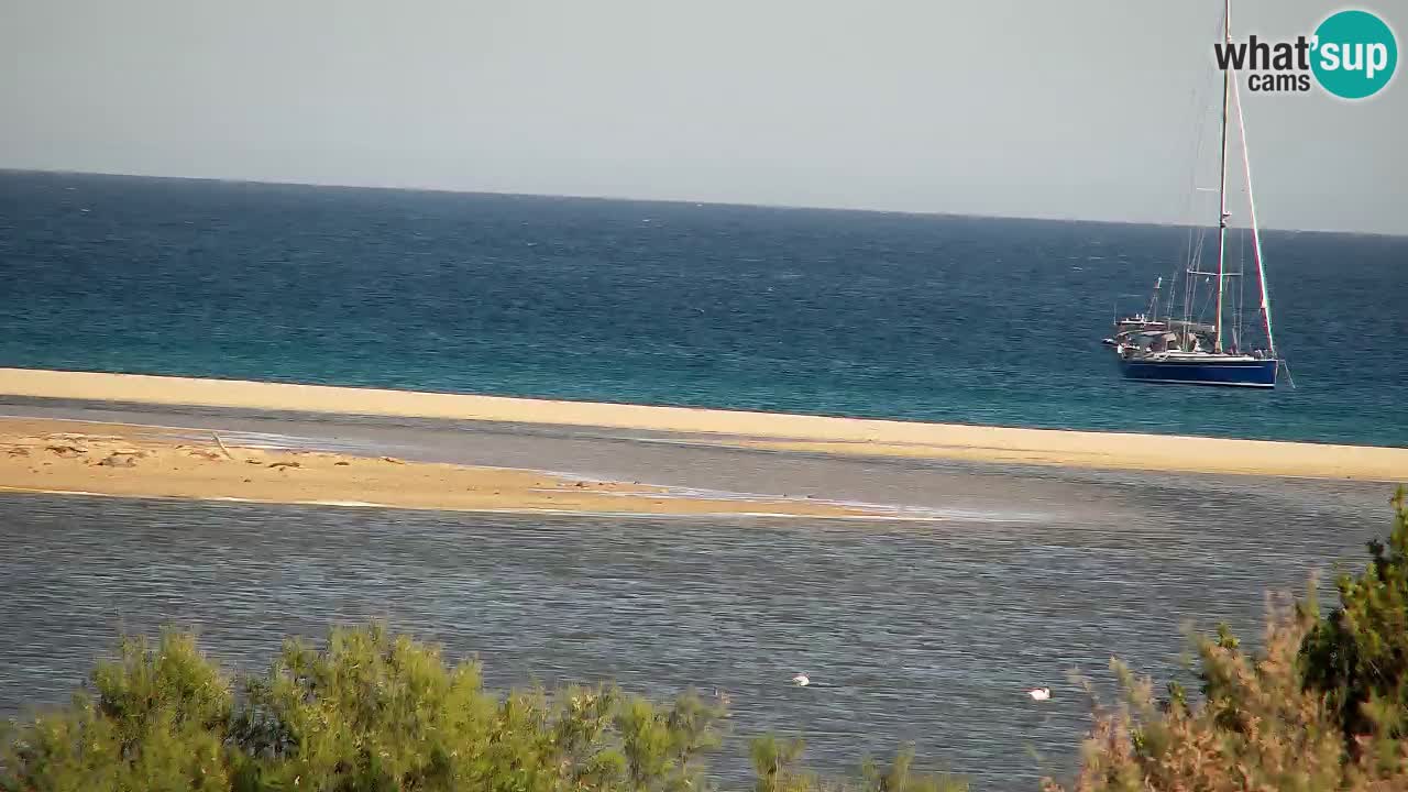 Webcam Chia – Live View of Su Giudeu Beach