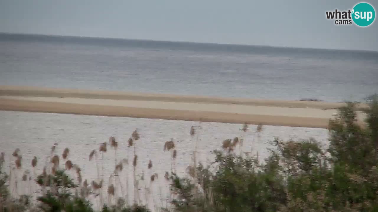 Web kamera Chia – Pogled uživo na plažu Su Giudeu