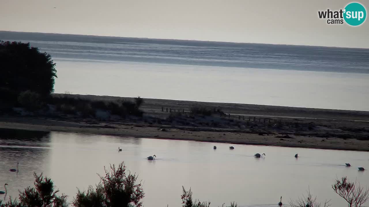 Webcam Chia – Spiaggia Su Giudeu in diretta