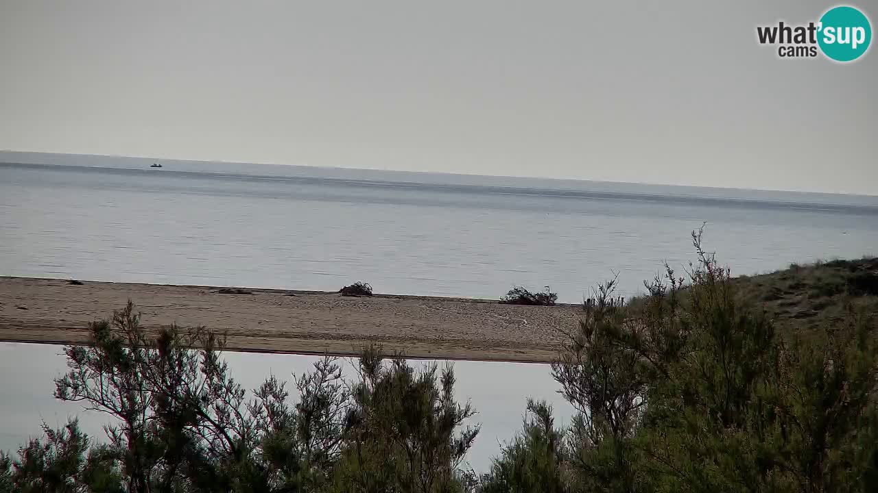 Webcam Chia – Live View of Su Giudeu Beach