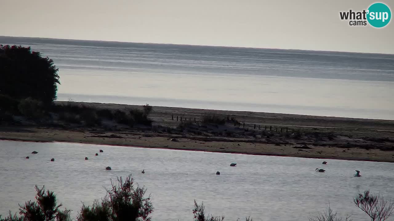 Webcam Chia – Vista en directo de la playa Su Giudeu