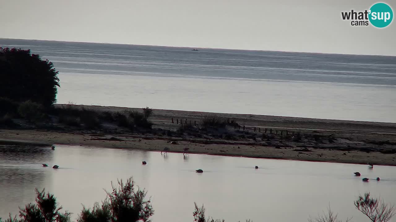 Webcam Chia – Spiaggia Su Giudeu in diretta