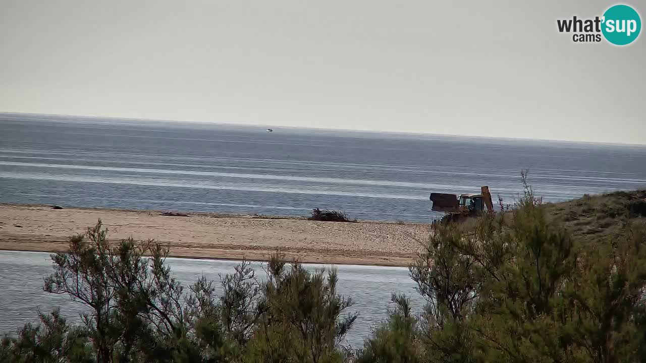 Webcam Chia – Live View of Su Giudeu Beach