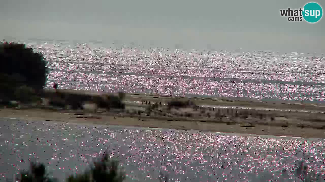 Webcam Chia – Live View of Su Giudeu Beach