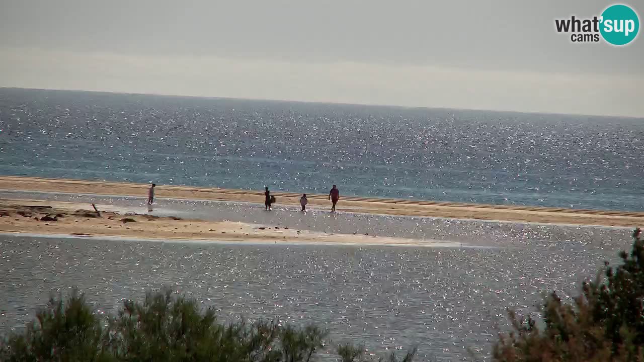 Webcam Chia – Vue en direct de la plage Su Giudeu