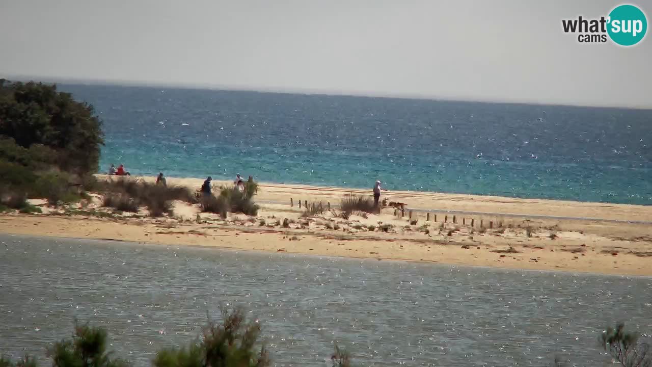 Webcam Chia – Live View of Su Giudeu Beach