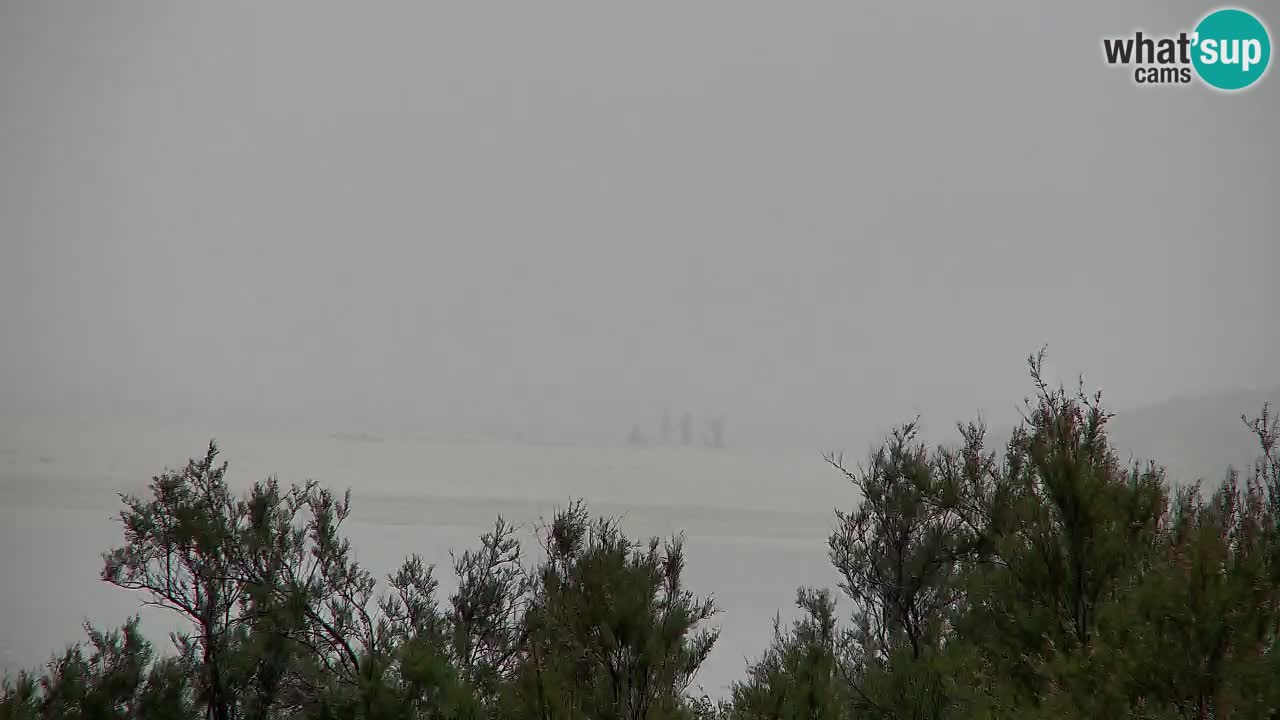 Webcam Chia – Live View of Su Giudeu Beach