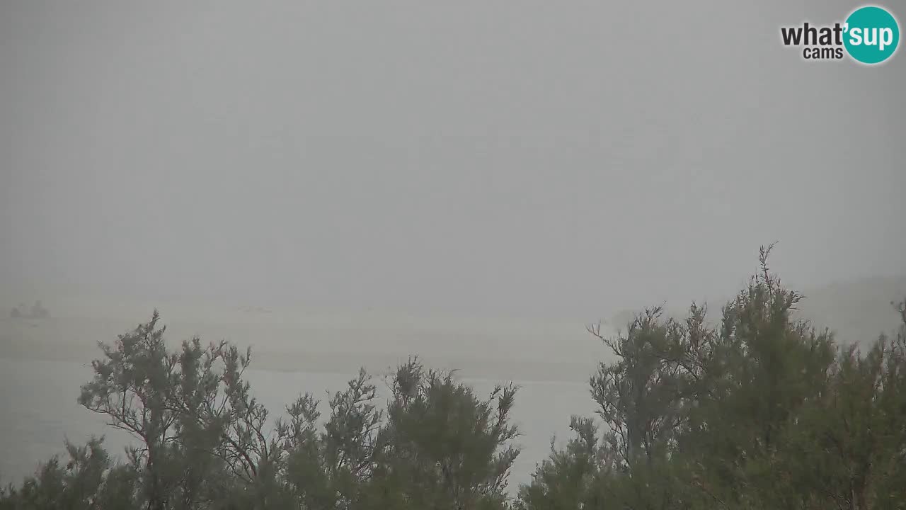 Webcam Chia – Vista en directo de la playa Su Giudeu