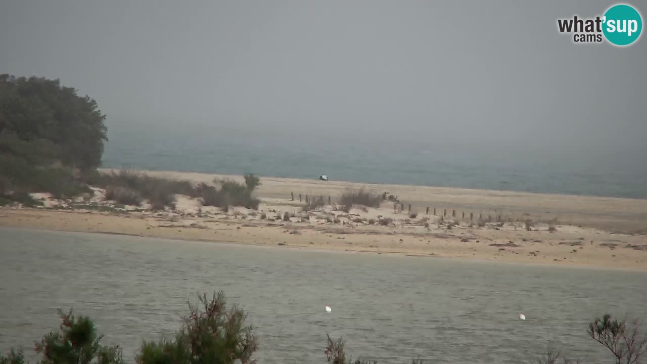 Webcam Chia – Live View of Su Giudeu Beach