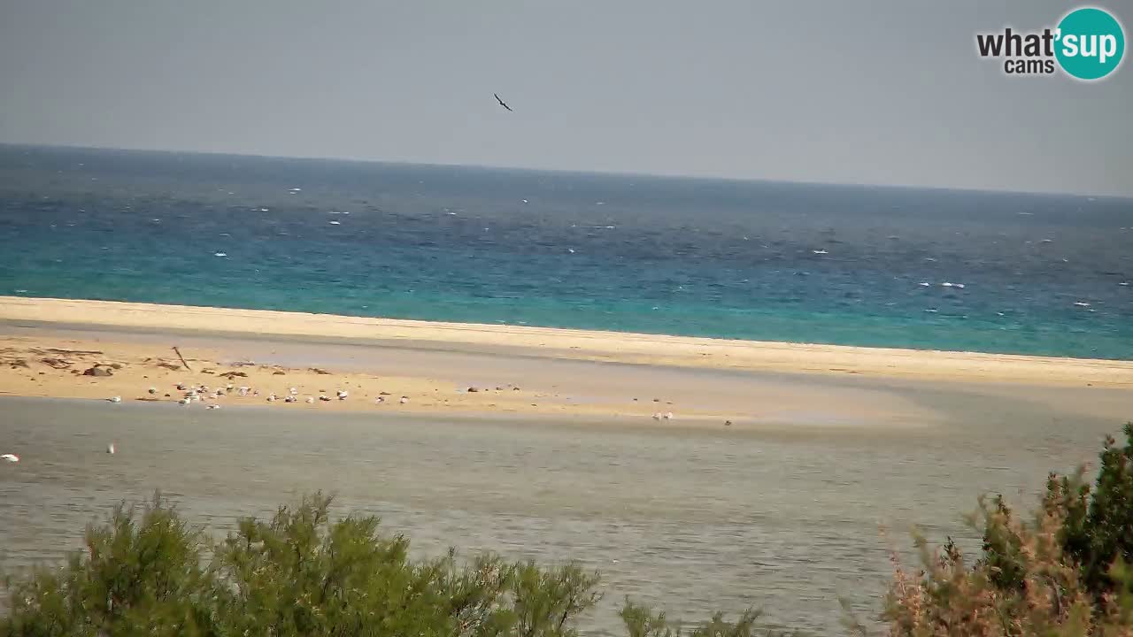 Webcam Chia – Live View of Su Giudeu Beach