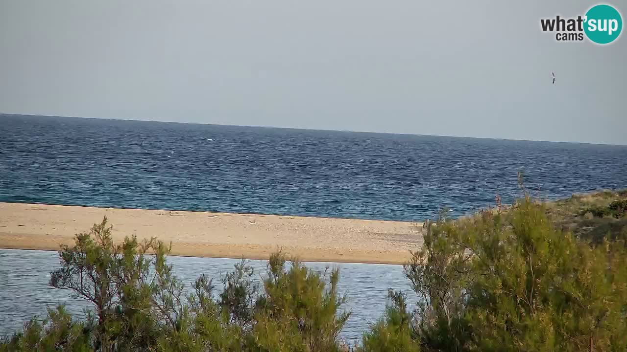 Webcam Chia – Vue en direct de la plage Su Giudeu