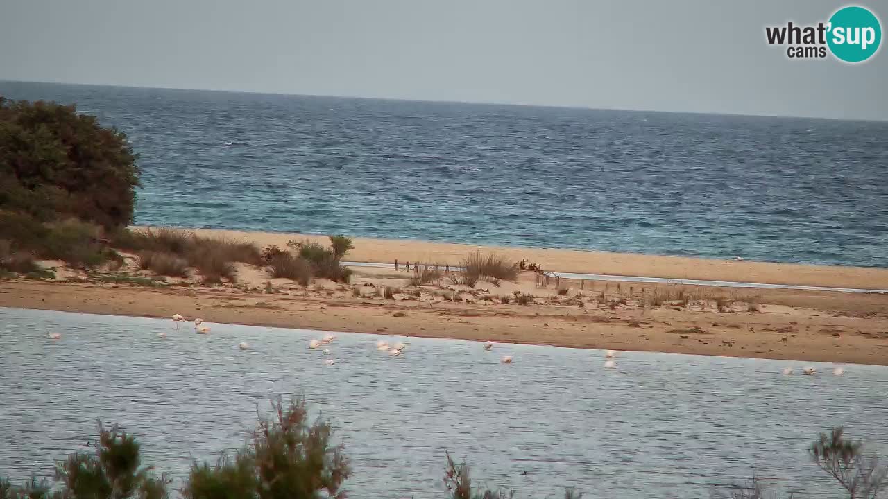 Webcam Chia – Live View of Su Giudeu Beach