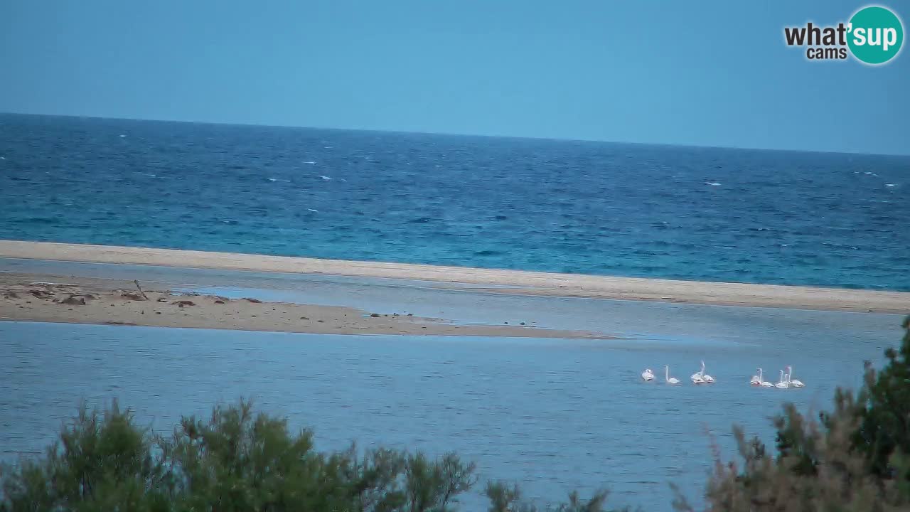 Webcam Chia – Vue en direct de la plage Su Giudeu