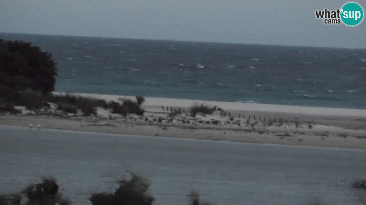 Webcam Chia – Vue en direct de la plage Su Giudeu