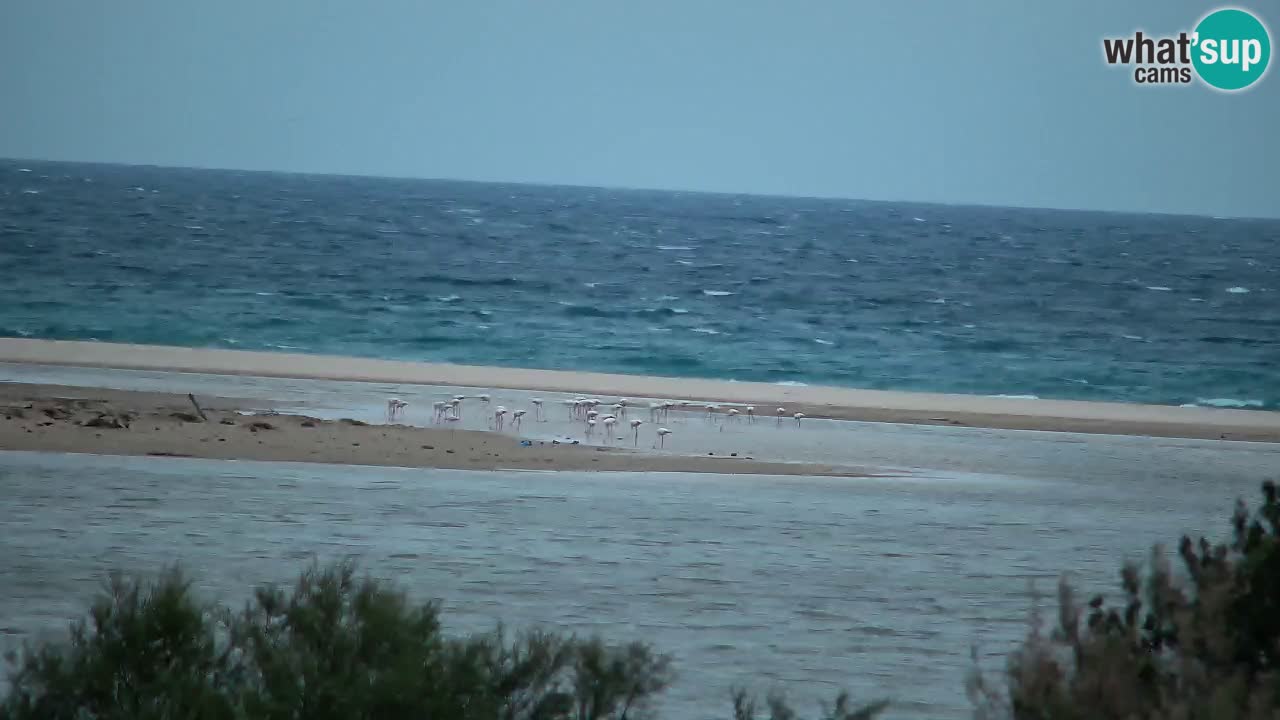 Webcam Chia – Spiaggia Su Giudeu in diretta