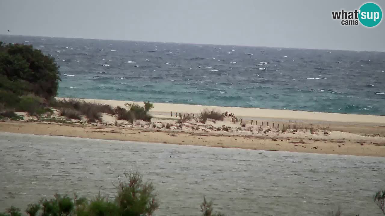 Webcam Chia – Live View of Su Giudeu Beach