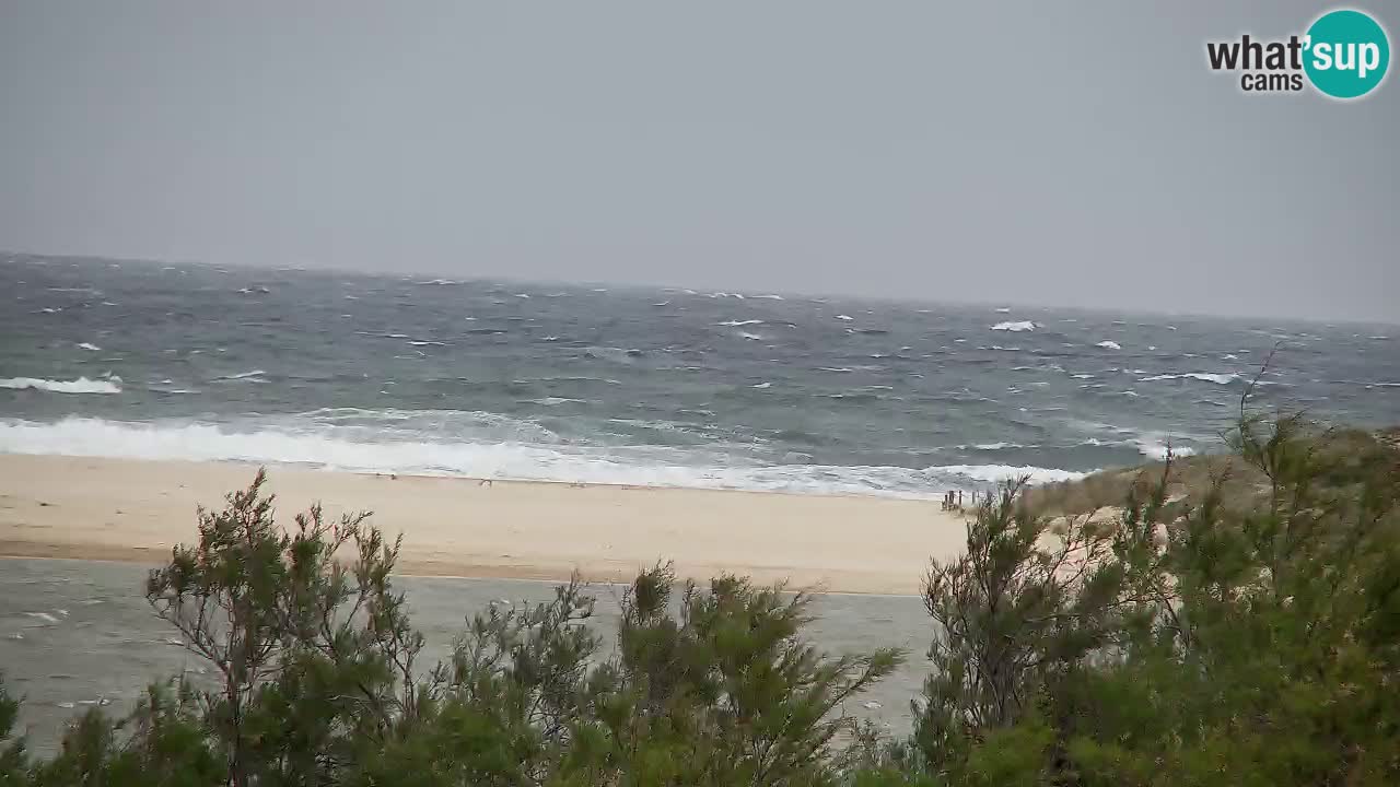 Webcam Chia – Live View of Su Giudeu Beach