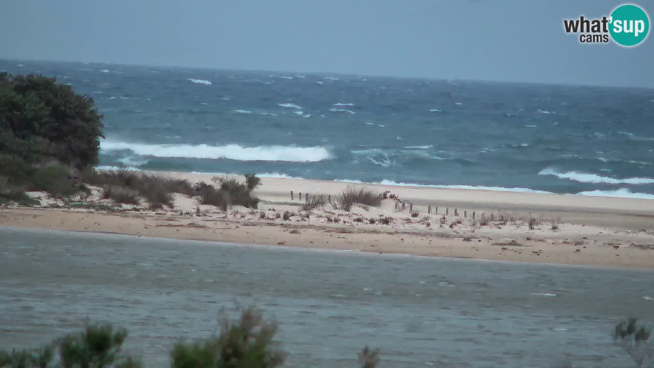 Webcam Chia – Live View of Su Giudeu Beach