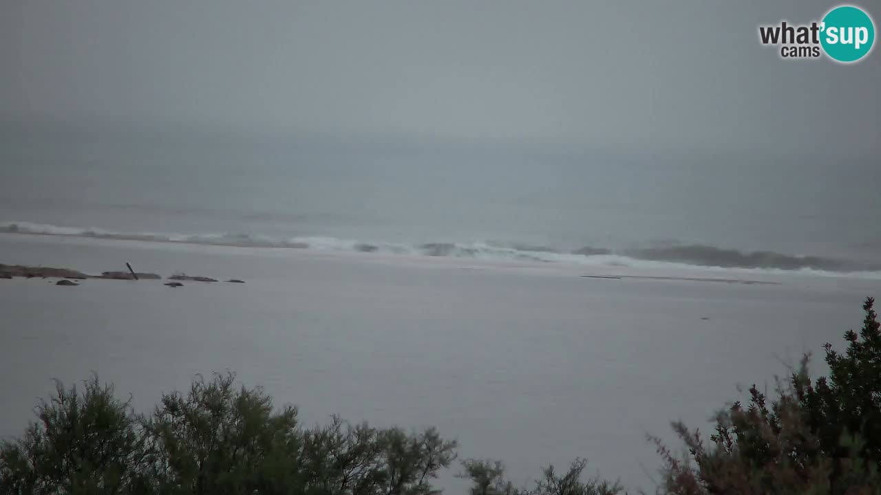 Webcam Chia – Vista en directo de la playa Su Giudeu