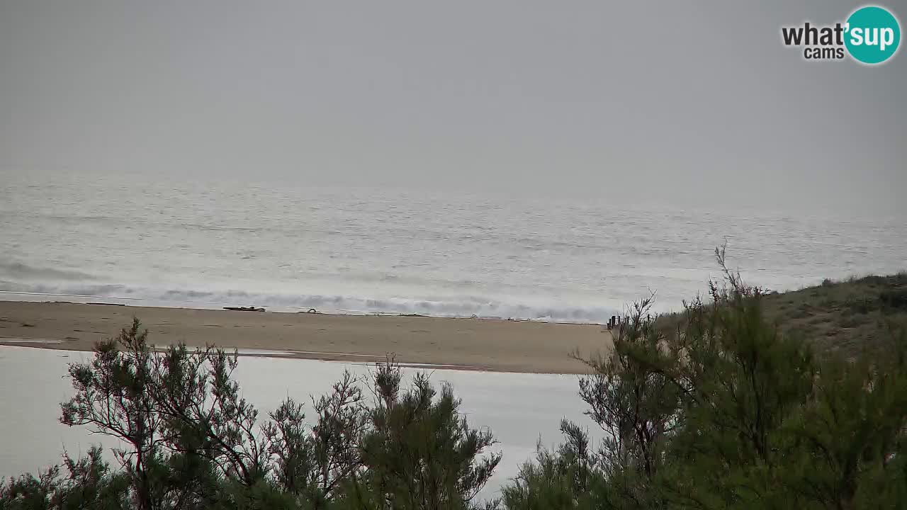 Webcam Chia – Live View of Su Giudeu Beach