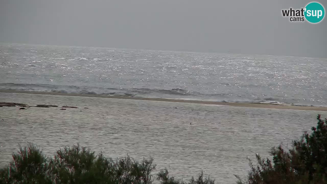Webcam Chia – Vue en direct de la plage Su Giudeu