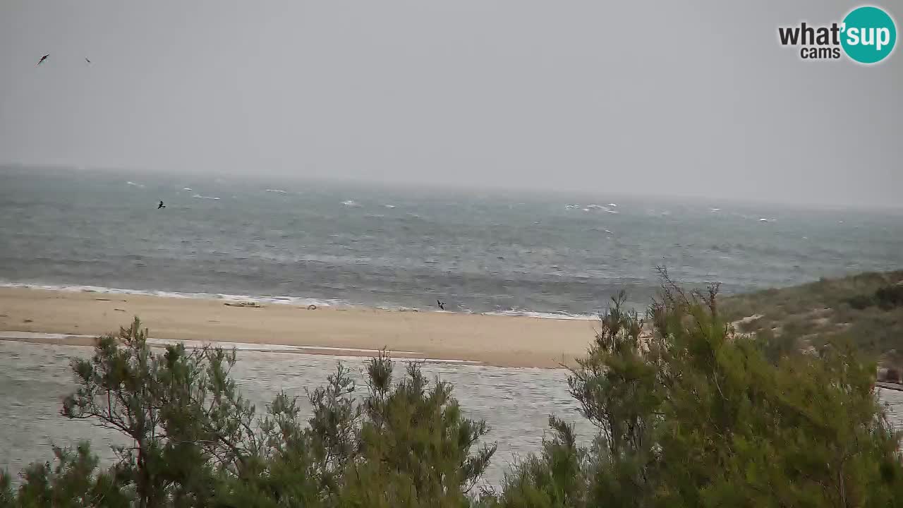 Webcam Chia – Live View of Su Giudeu Beach