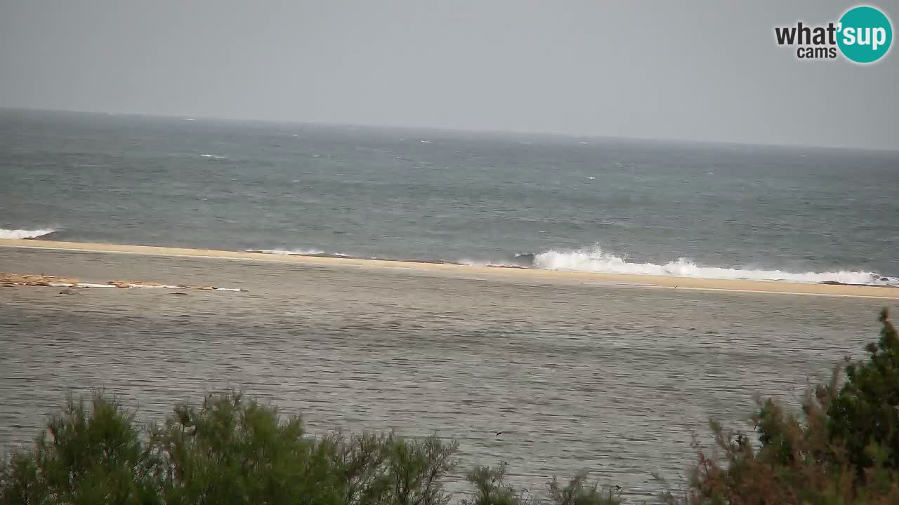 Spletna kamera Chia – Pogled v živo na plažo Su Giudeu