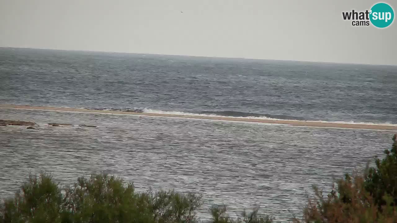 Spletna kamera Chia – Pogled v živo na plažo Su Giudeu