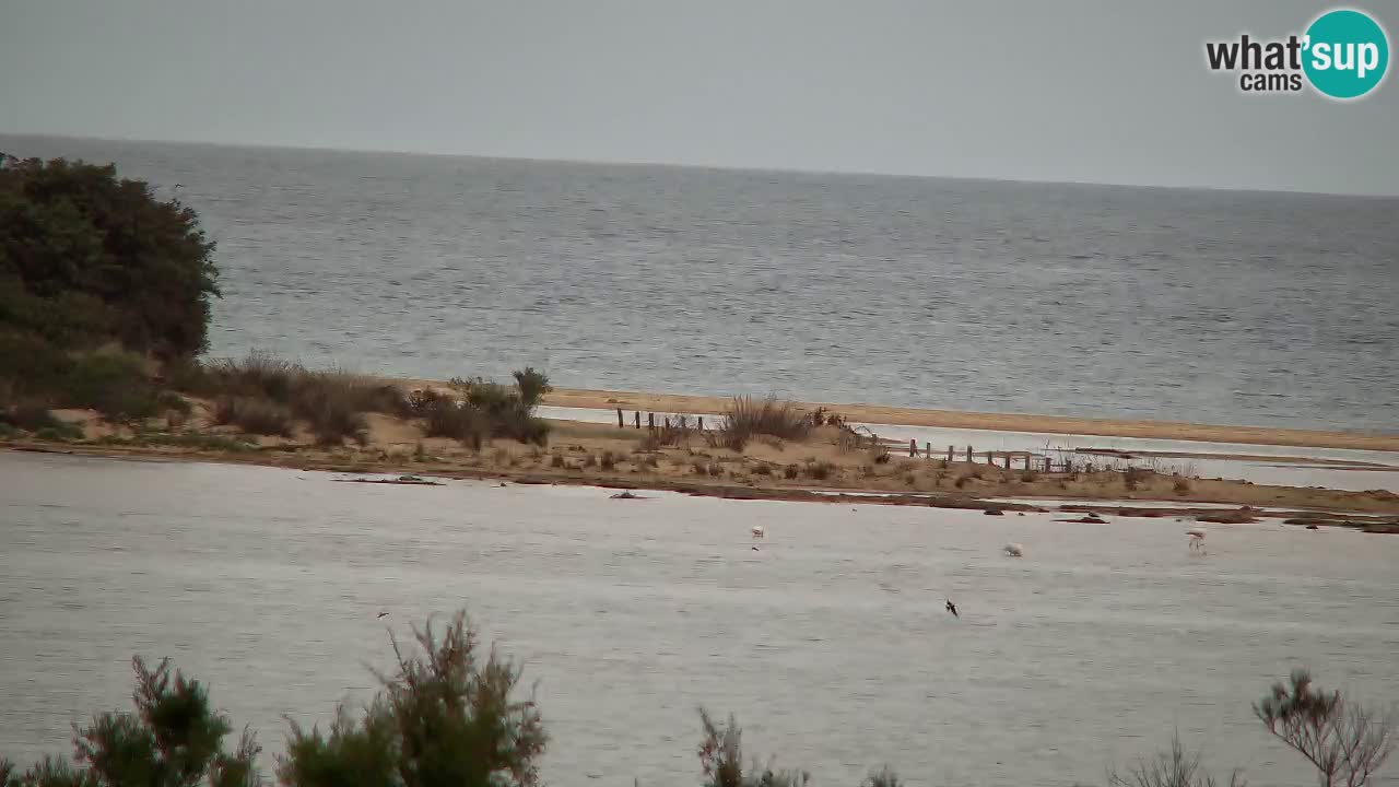 Webcam Chia – Live View of Su Giudeu Beach