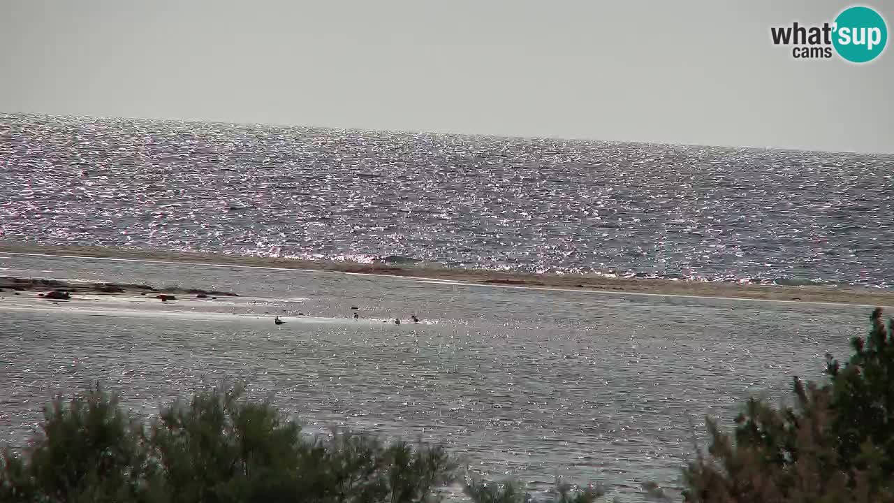 Spletna kamera Chia – Pogled v živo na plažo Su Giudeu
