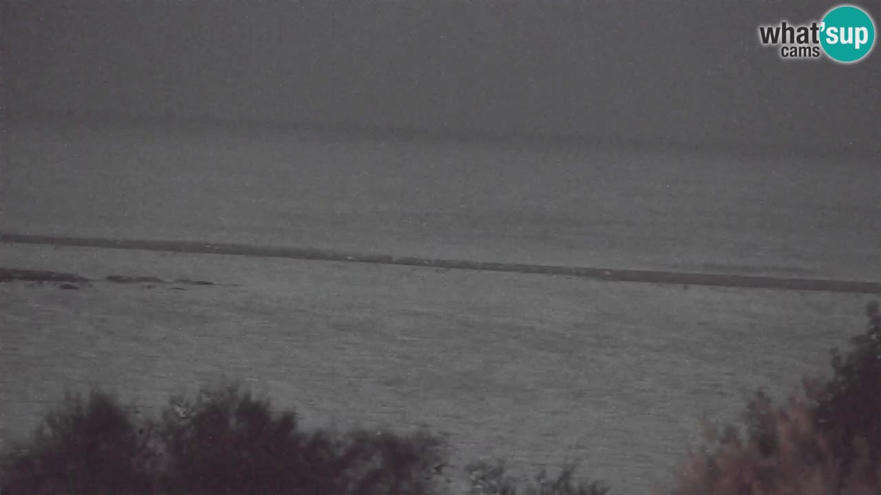 Webcam Chia – Live View of Su Giudeu Beach